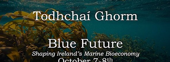 Todhchaí Ghorm - Blue Future