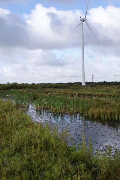 Duckweed Channel & Turbine