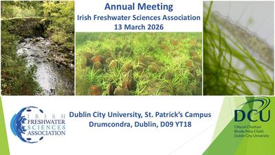 IFSA Annual Meeting 2026