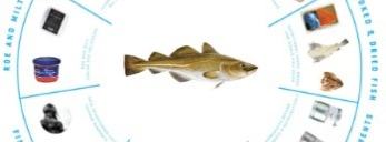 CIRCULAR-IMTA-DEMO Project Participation in Iceland Ocean Cluster Visit