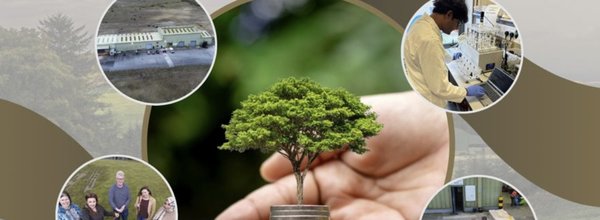 Midwest Bioeconomy in Action