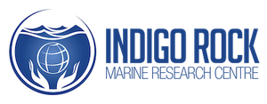 Logo Indigo Rock